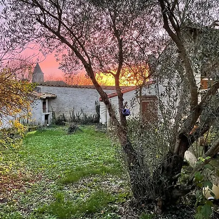 Appartement Sous L Olivier
