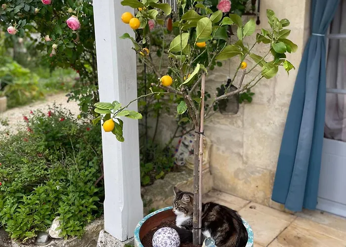 Apartamento Sous L Olivier Tusson